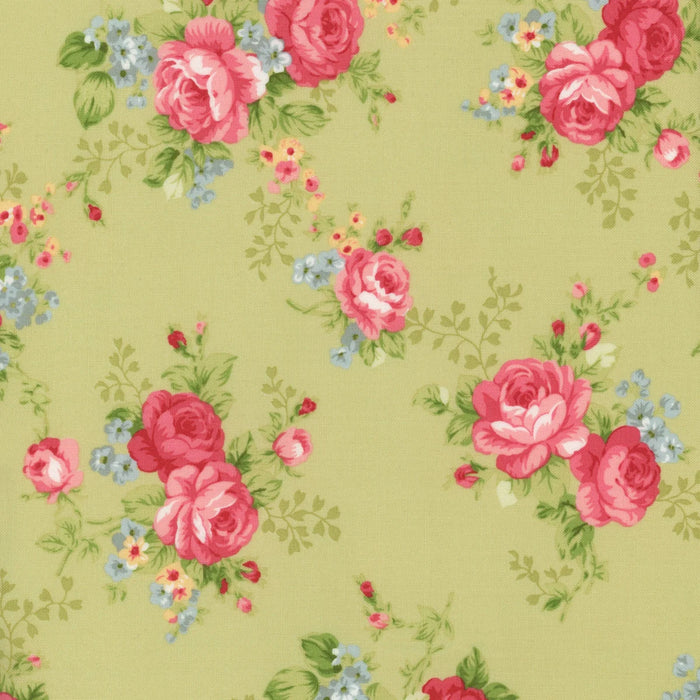 Ellie Green 18760 14 by Brenda Riddle for Moda Fabrics