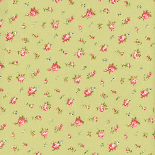 Ellie Green 18761 14 by Brenda Riddle for Moda Fabrics