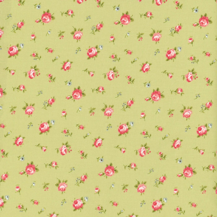 Ellie Green 18761 14 by Brenda Riddle for Moda Fabrics