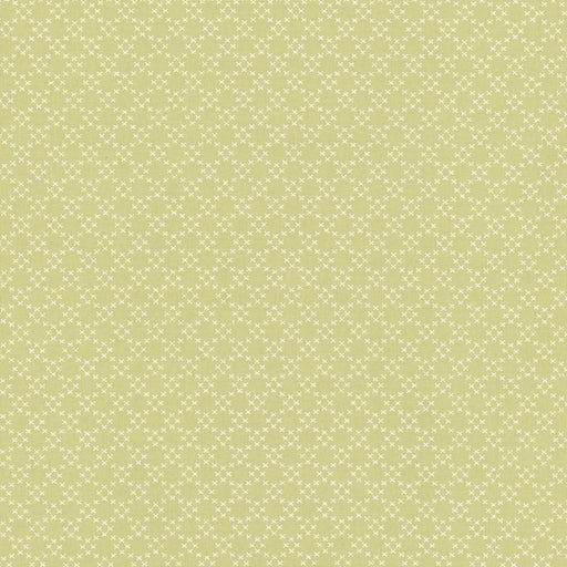 Ellie Green 18764 14 by Brenda Riddle for Moda Fabrics