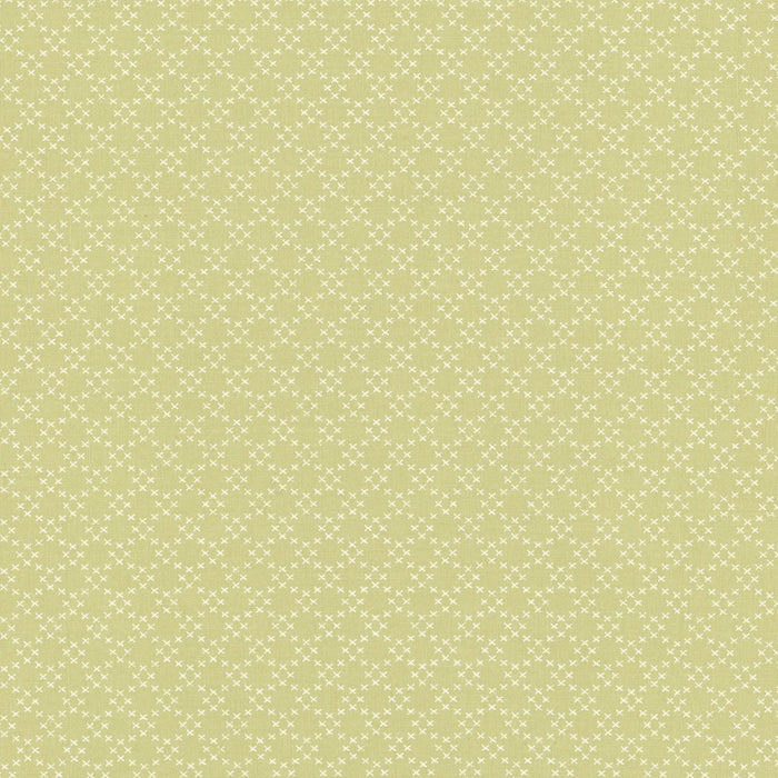 Ellie Green 18764 14 by Brenda Riddle for Moda Fabrics