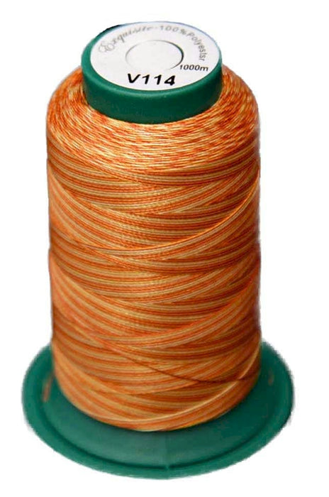 Exquisite Medley Variegated Thread - Amber Glow 1000M V114