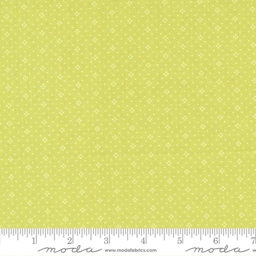 Eyelet Grass 20488 82 by Fig Tree Co. for Moda Fabrics