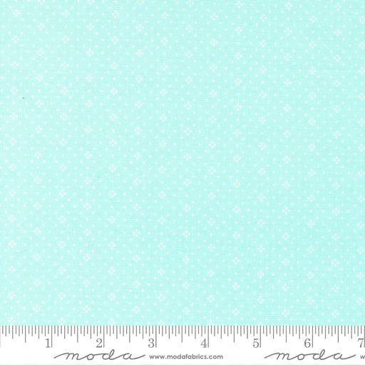 Eyelet Sky Blue 20488 79 by Fig Tree Co. for Moda Fabrics