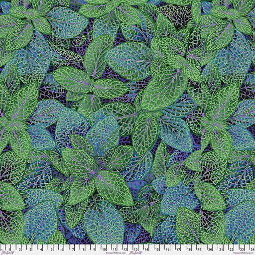 Kaffe Fassett August 2024 fabric Fittonia Green