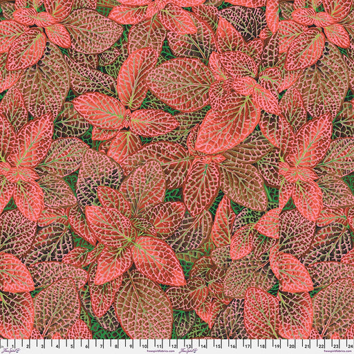 Kaffe Fassett August 2024 fabric Fittonia Red