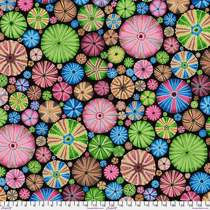 Kaffe Fassett August 2024 fabric Urchin Multi