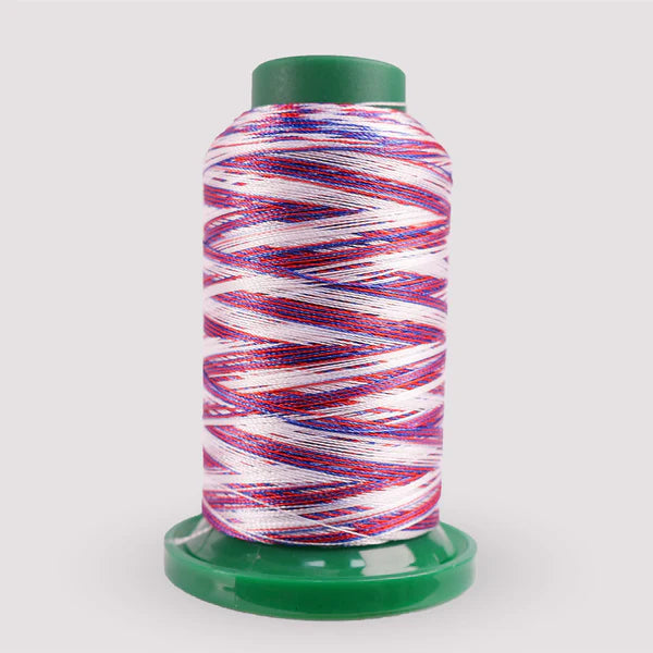 Exquisite Medley Variegated Thread - Patriotic 1000M V106