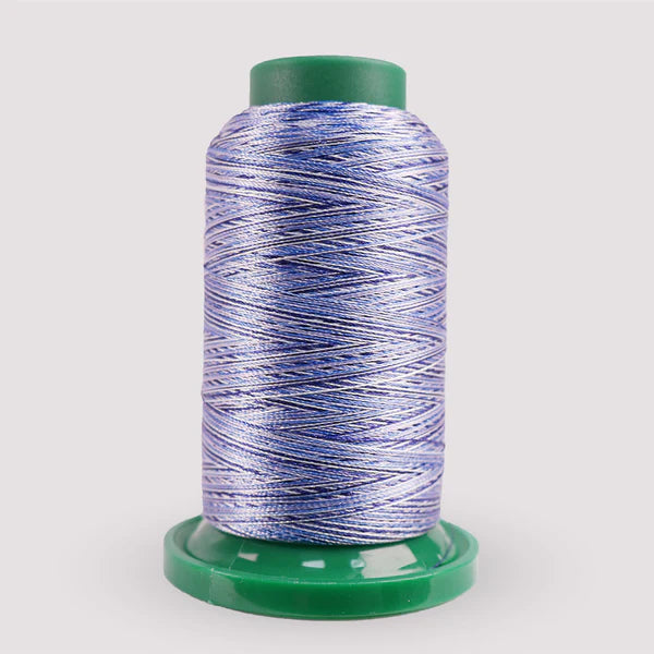 Exquisite Medley Variegated Thread - Denim Blues 1000M V108