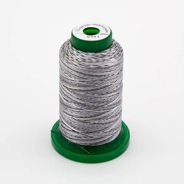 Exquisite Medley Variegated Thread - Zebra 1000M V111