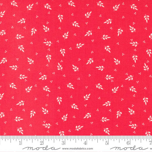 Favorite Things Berry 37651 13 fabric