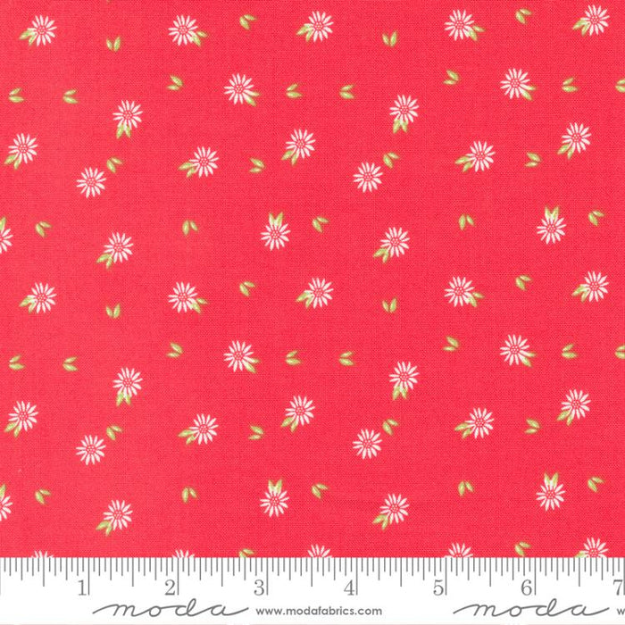 Favorite Things Berry 37654 13 fabric