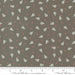 Favorite Things Charcoal 37651 19 fabric