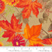 Caramel Indian Blanket 48740-14 yardage&nbsp; from the Forest Frolic fabric collection by Robin Pickens - Moda Fabrics