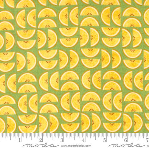 Fruit Loop Kiwi Candied fabric 30734 15