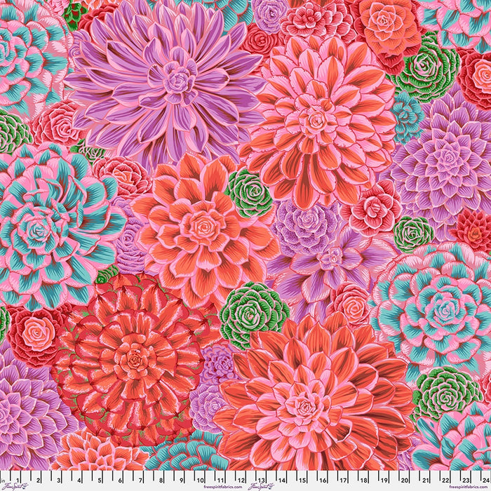 House Leeks Pink Kaffe Fassett Collective February 2025