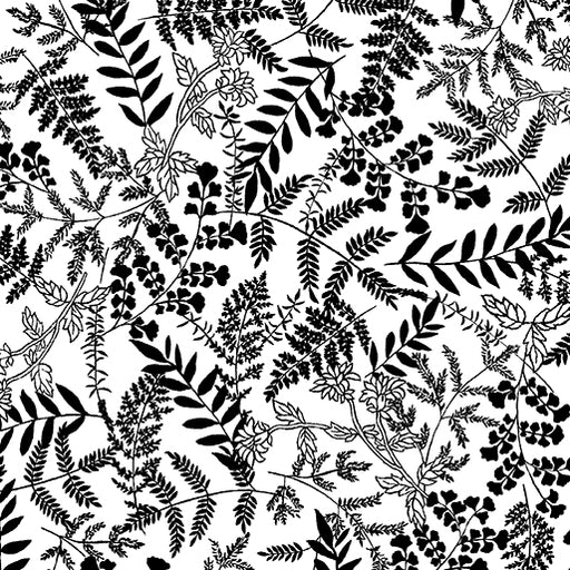 white fabric with black fern patterns from Midnight Rhapsody fabric collection