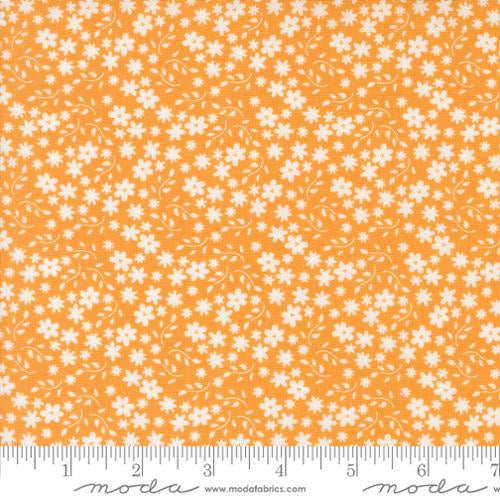 Raspberry Summer Apricot 37693 14 fabric