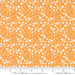 Raspberry Summer Apricot 37693 14 fabric