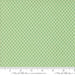 Raspberry Summer Mint 37696 25 fabric