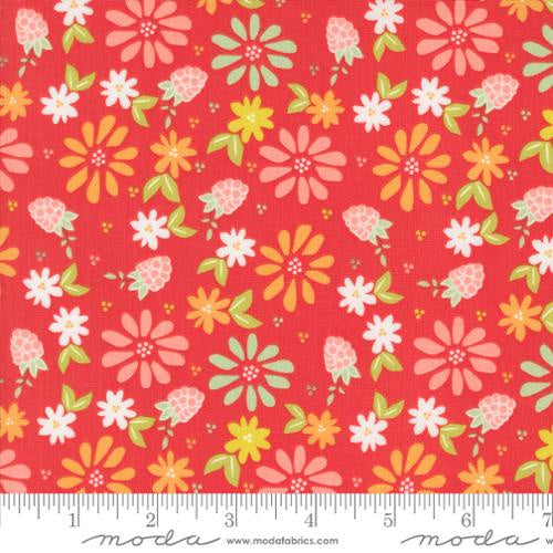 Raspberry Summer Raspberry 37690 13 fabric