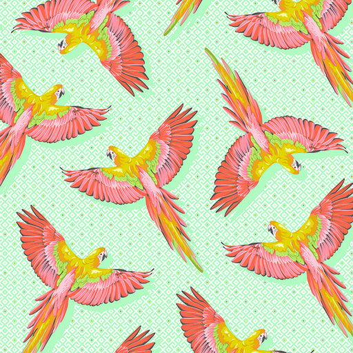 Daydreamer Mango Macaw Ya Later fabric by Tula Pink