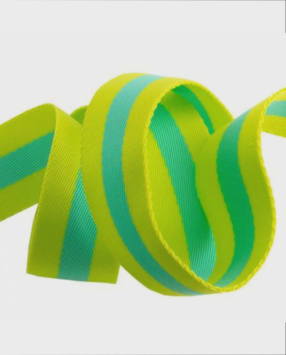 Tula Pink Webbing - Lime and Turquoise 1.5 inch